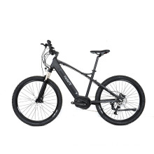Lightweight mountain electric bicycle